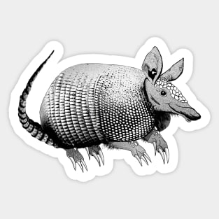 Cute Armadillo Sticker